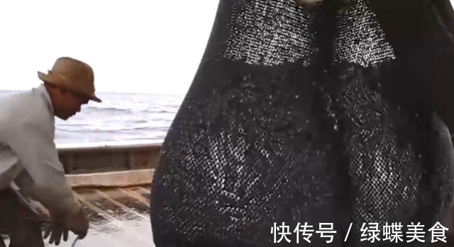 掉漆|原来带鱼是这样捕捞的,难怪每一条都“掉漆”了,真是长见识了