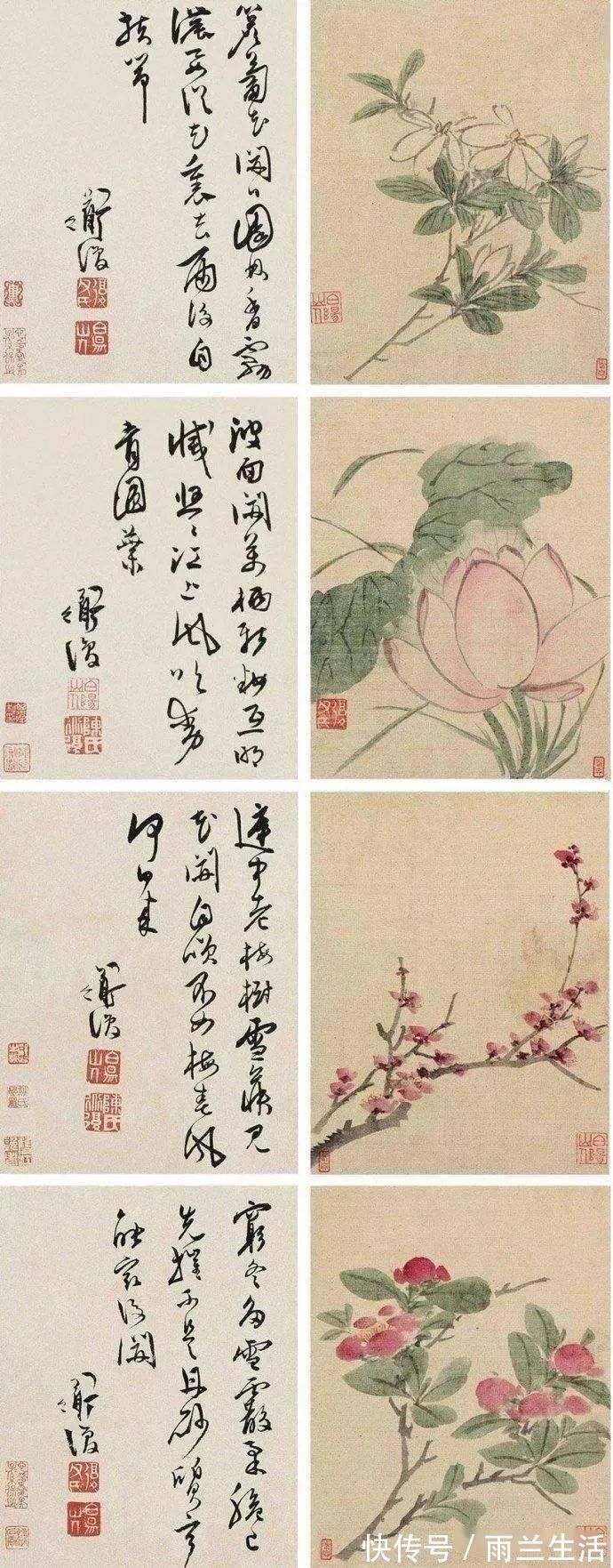 陈淳@与徐渭齐名,这个富二代的一花一世界!