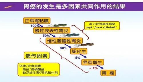 慢性胃炎会转变为胃癌吗 得了胃炎应该怎么办 快资讯
