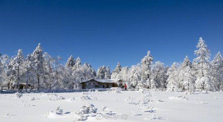 凤凰山|雪深超一米！黑龙江凤凰山高山雪原风姿初现