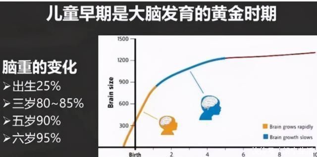 哈佛|哈佛研究:宝宝3岁前,多接受以下“刺激”,有助于促进大脑发育