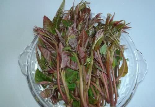 李医师|想年轻一点，不妨吃的食物，清热解毒，健胃理气，润肤养颜