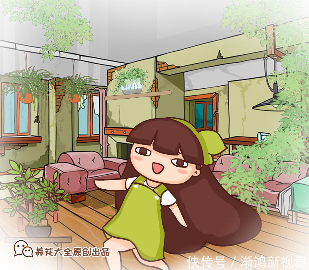 虎皮兰|5种常见植物,平常少浇水“饿”着养,能长得更好