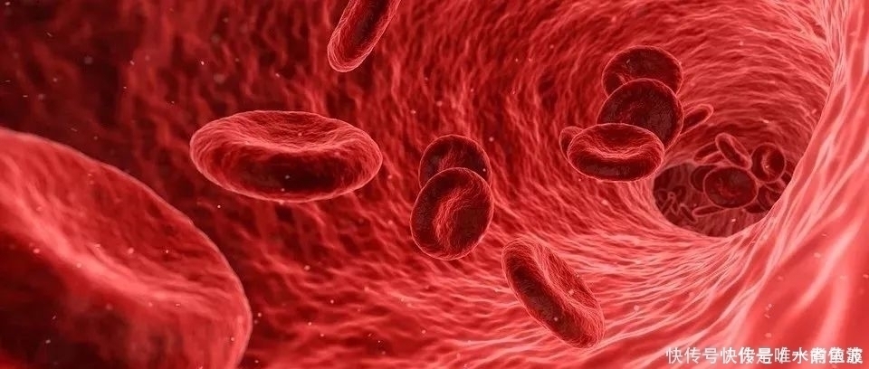 血流|脚上有个化血栓开关,打开它,清血管、防血栓!9种人最好常做!