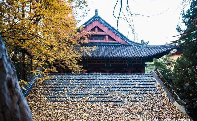 曹雪芹|中国第一座女子大学,曾是曹雪芹家后宅,东方最美校园