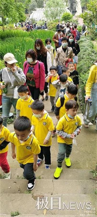 幼儿园娃娃和植物作伴，请保安、保洁员、导游当“老师”