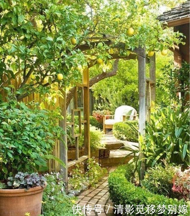 庭院|想有个带院子的房子,看花开叶落一辈子,让生活变成一件浪漫的事