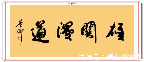 书法&看完董卿书法,再看徐静蕾书法,谁更胜一筹