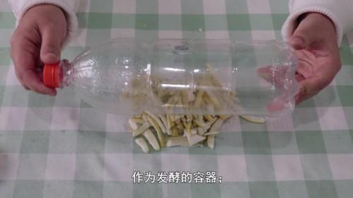  肥料|吃剩的柚子皮不要扔，把它泡一泡用来浇花，效果比买来的肥料还要好