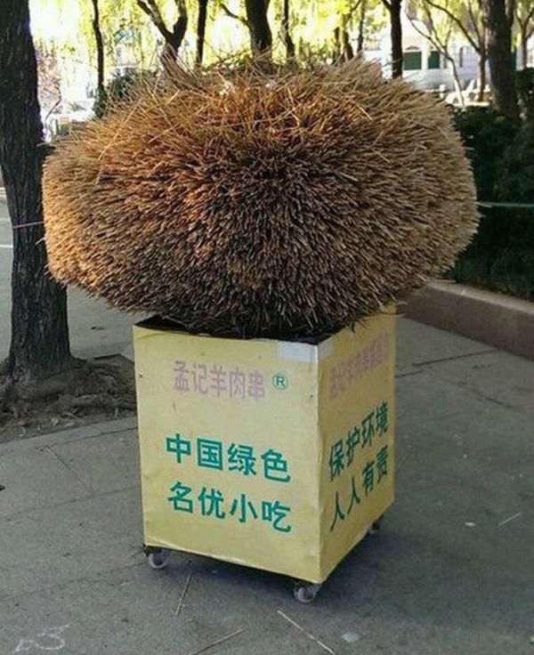 玩成|每日一笑：下了场雪，结果邮箱就被玩成这个样子了！