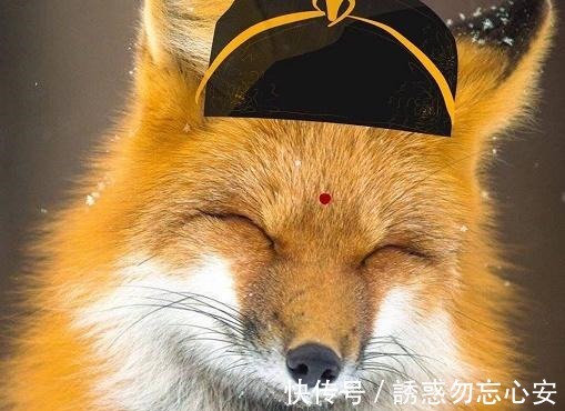 小温宁|《魔道祖师》官微福利,笑面狐狸金光瑶,“橘里橘气”小温宁