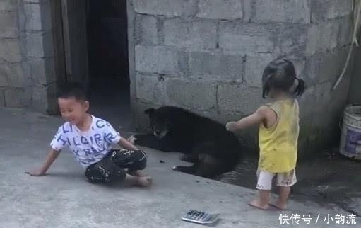 小女孩|萌娃下乡“放飞自我”火了,一旁的狗子:别看我,可不关我事!