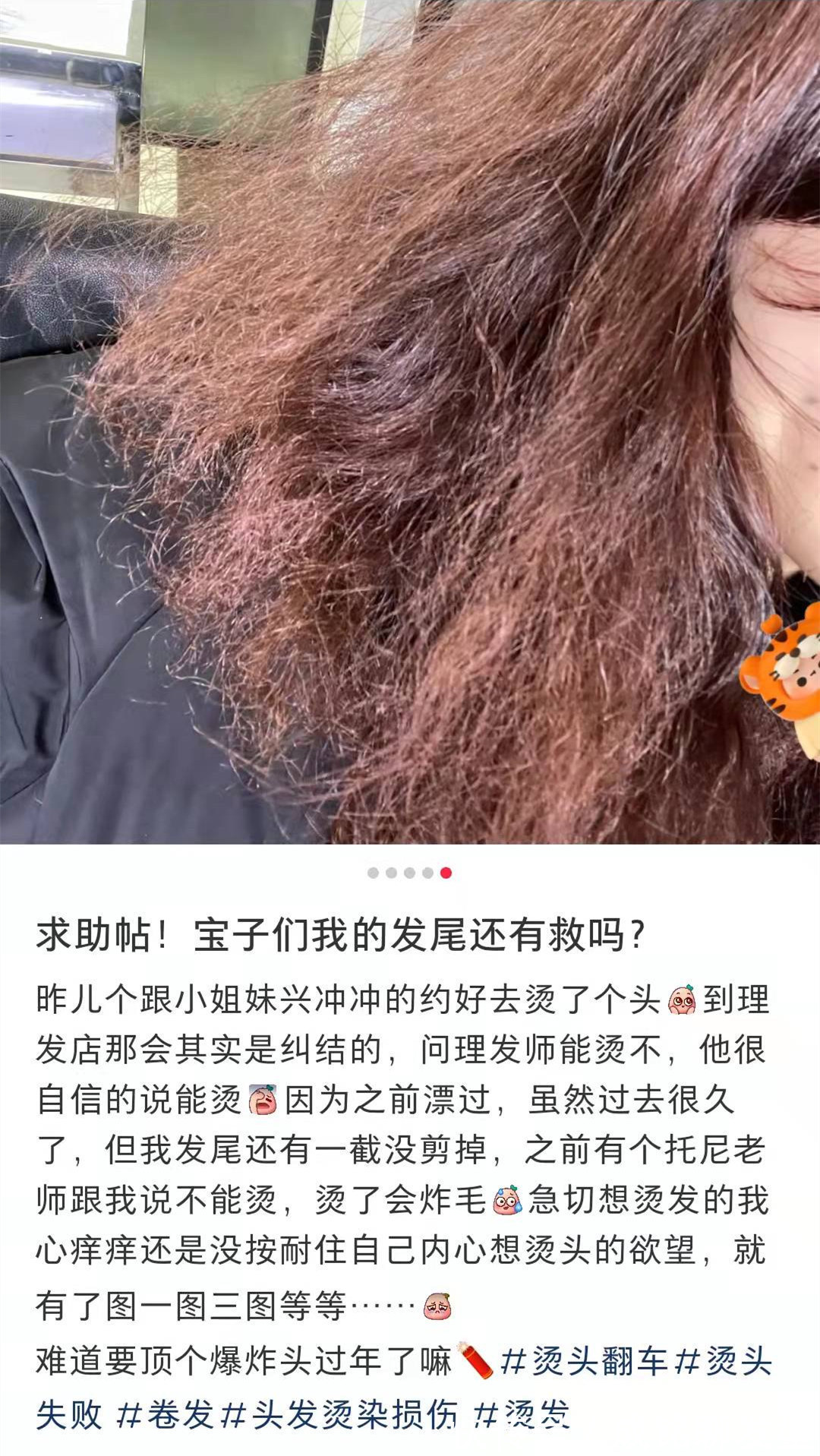 发型 法式羊毛卷火遍了全网，网友却说：不烫不死心，烫了死的心都有！