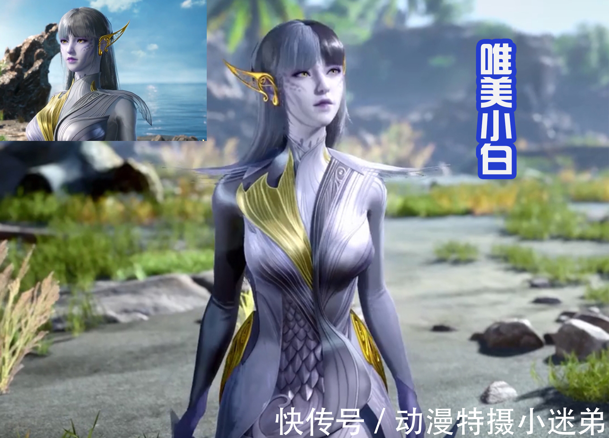 小白|新七大宗门被内定，被粉丝戏称“动物世界”，而唐家军也正式成立