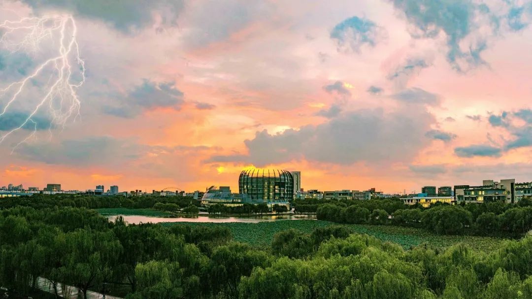 我“雨”最美校园，一起云赏沪上46所高校雨中即景