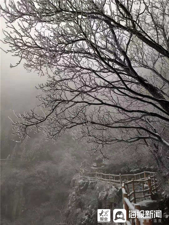 初雪 淄川美的不像话却像画|组图 | 初雪