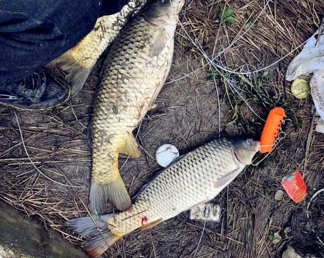 渔政|钓鱼人最愤怒的几个场面,最恨的不是电鱼人,排名第一的是这些人