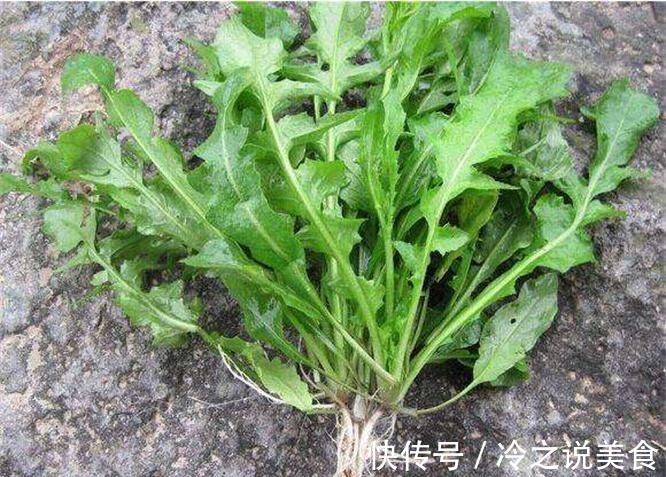 食物|女性再没钱,四种食物不能省,抗衰护肤,美容养颜,好吃又不贵