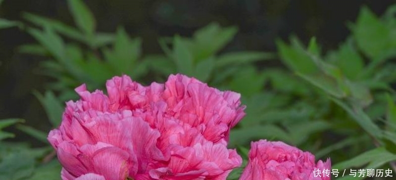 刘禹锡很美的一首诗,从开篇美到结尾,读过的人都会念念不忘!