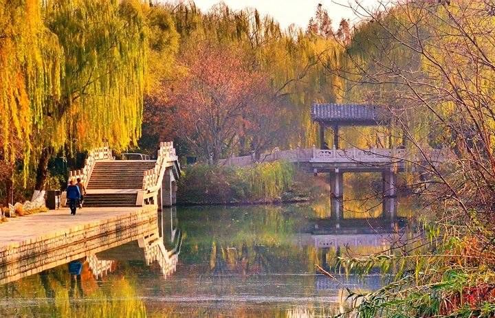 黛眉|空瞳视界｜黛眉、梨涡已多情，何须美人尽展颜：初冬明湖小景