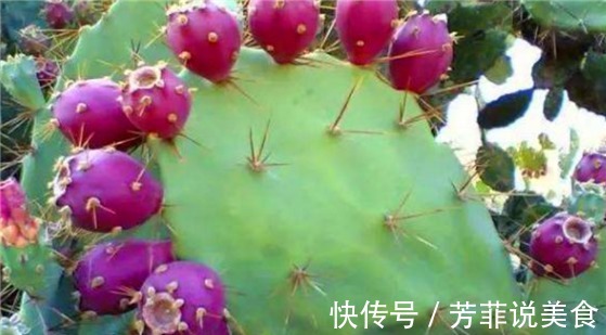 黑橄榄|想要排毒养颜,可常食以下食物,清热消脂,减肥瘦身,美容养颜