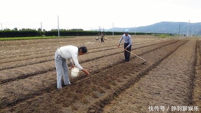 余秀华诗歌赏析：老天，你在种我的时候，是不是也漫不经心