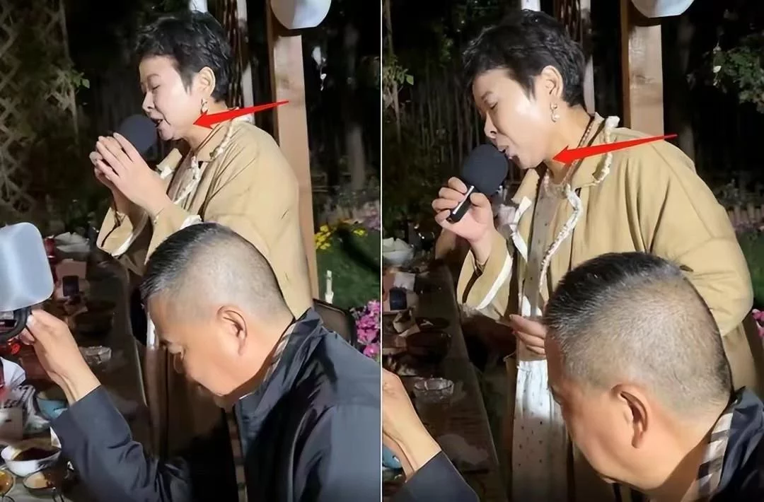 太常引·年龄花甲董文华