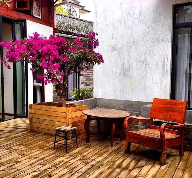 有院子的朋友，想在院子种树，这五个“不要”要了解！