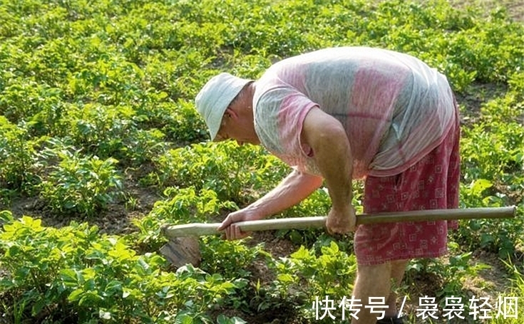 危勇&老农仿《咏鹅》写下《咏鸡》,全诗仅18个字,却斩获国家级文学奖