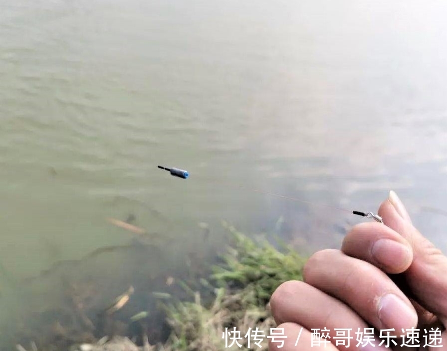 秋末冬初野钓鱼口不好，采用这种钓法，鱼获满满