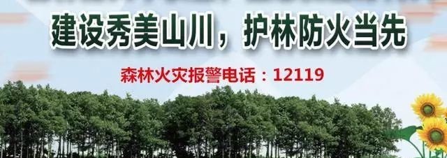 庙号|庙号、谥号和年号，为何清朝皇帝有这么多让人分不清的称谓？