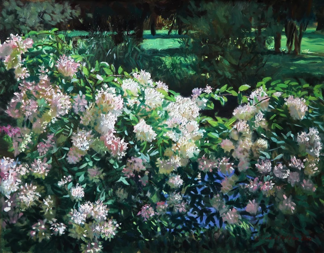 伦勃朗!这色彩、光感、笔触,表现淋漓尽致!他的油画令人陶醉!