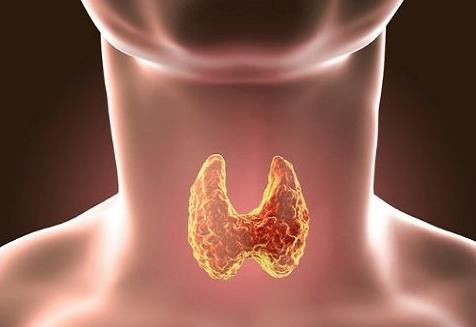 甲状腺|多家医院联合呼吁,停止食用1种“鸡蛋”,比喝酒还伤甲状腺,趁早远离