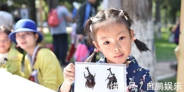 短长!4岁女儿画了只小恐龙,吓坏女老师,家长却很高兴