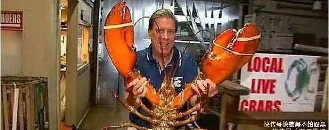 这只龙虾活了134年,受国家特赦免死,吃货只能干瞪眼