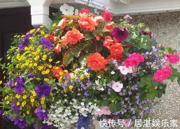 腐叶土|养花缺不了营养土不想要花钱买,就添加上它们,比买的还好