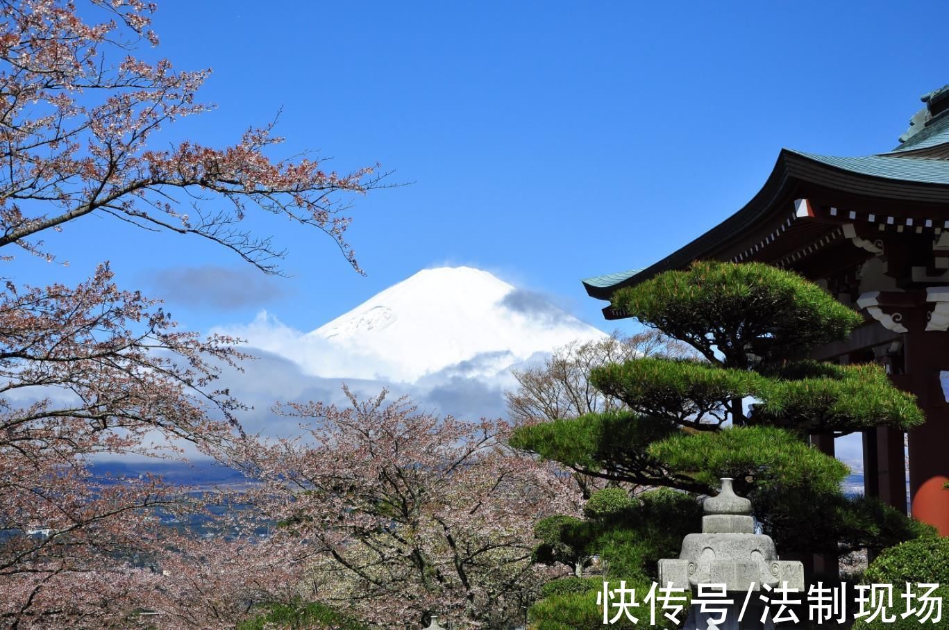 旅游|因疫情影响旅游退款怎么办?看官方解读