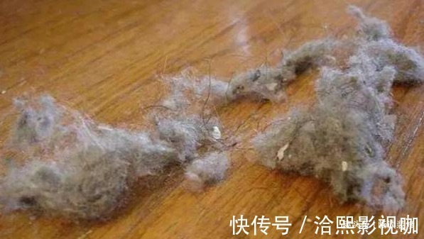 防盗门|家里每天扫角落还会“毛毛”，冷知识要清楚，别等清理时就生气