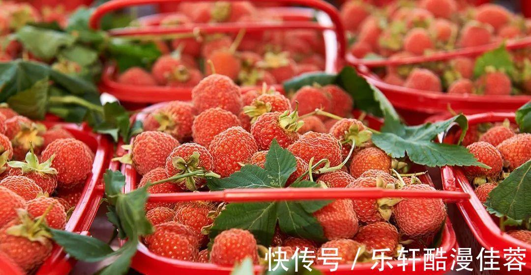 美味|小暑将至若条件允许,这6种水果记得要多吃,营养美味还不贵