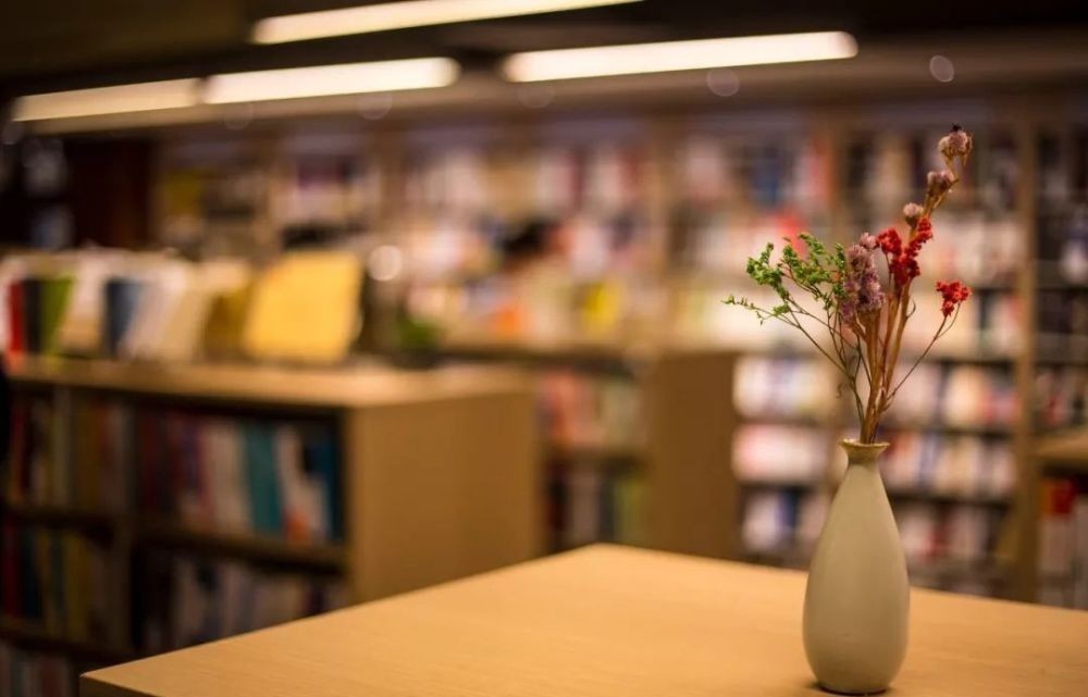 孙中山|宋庆龄:认真地年轻,优雅地老去