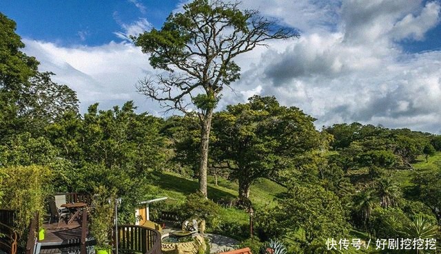  野生动植物|哥斯达黎加是一个怎样的国家？经济发展水平如何？