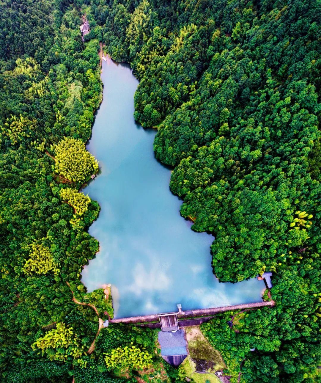  游山|又到重阳登高时！浙7座名山秋色绝美，明天游山赏景去～