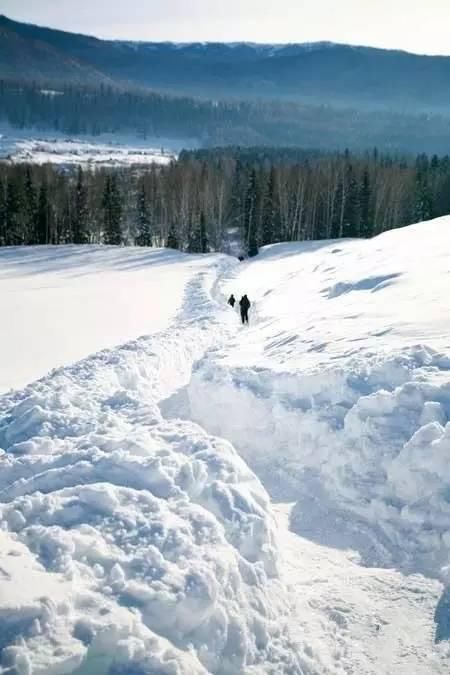 神话里|如果东北的雪景是童话，那北疆的雪景便是神话！