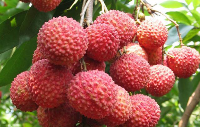 糖尿病患者|糖尿病患者,几种水果再馋也要忍住,要少吃!