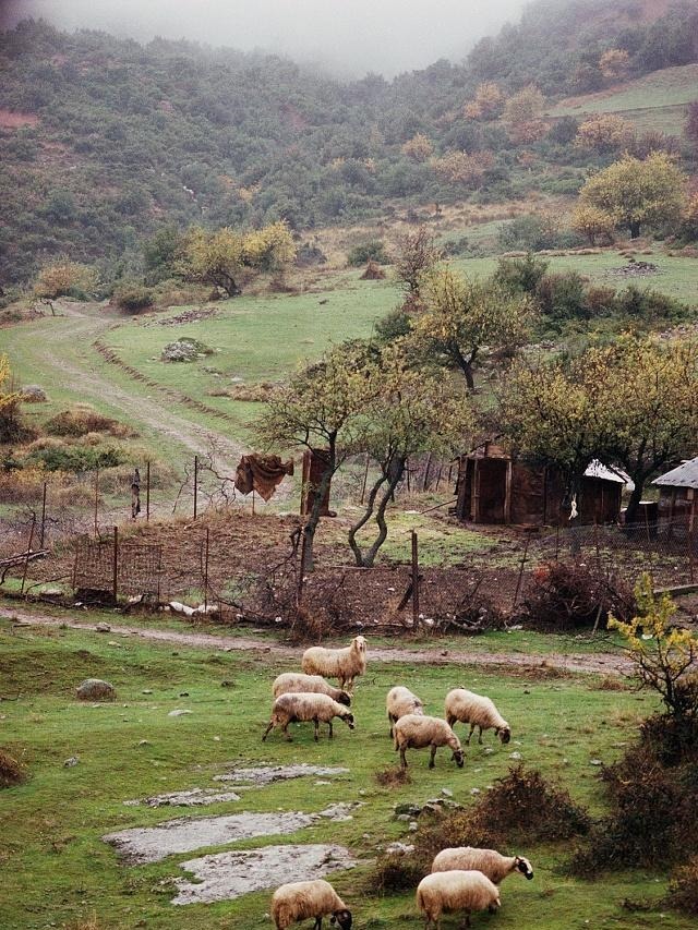  无用功|探究丨努力不一定有结果，你还会为某件事不懈努力吗