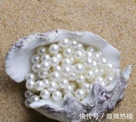 珍珠 关于珍珠的这些基本常识,你还不知道吗