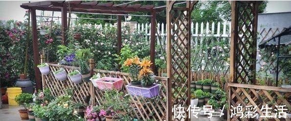 罗马柱|晒我的农村别墅,有花园有“泳池”,朋友都说堪比“世外桃源”!