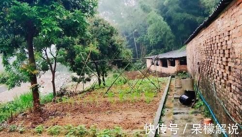 别墅|为了父母,他拆掉老宅,建造236㎡别墅,屋顶露台太美了
