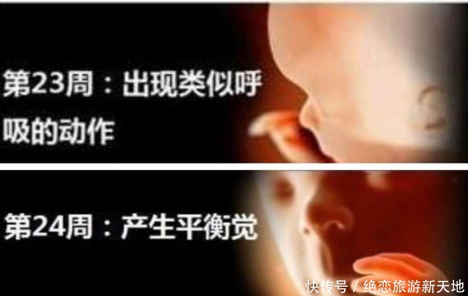 孕期做四维有什么好处,什么时候做最好这个时候做是最好的