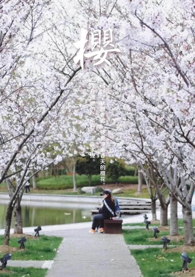 【图集】春风花草香，金山的美景让人流连